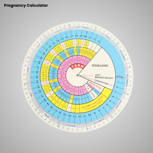 Pregnancy Calculator (2)